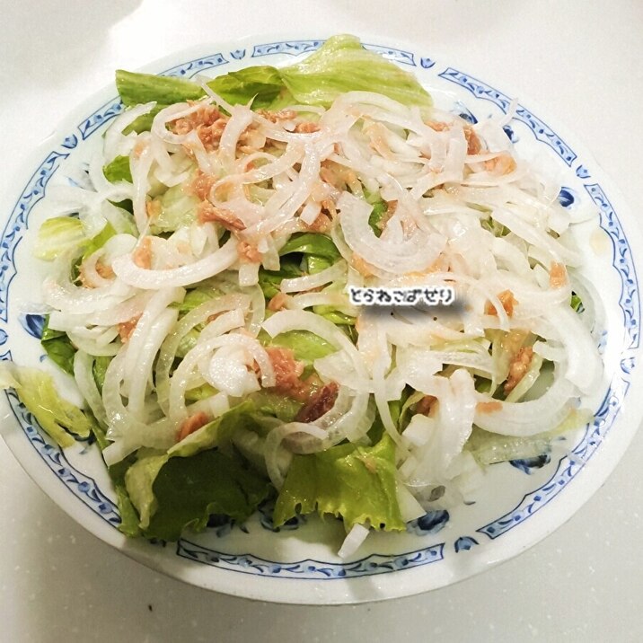 レタスと新玉ねぎ☘️ツナサラダ